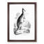A Kangaroo Illustration in Black & White - Picture Frame Drawing-57844677-57844678