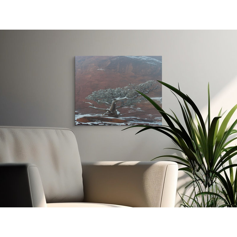 Smitherman Wrapped Canvas Print Set, 24x16