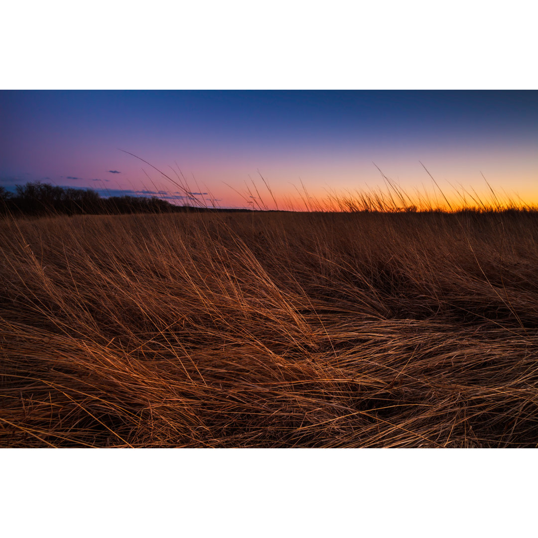 Leinwandbild Prairie at Dusk