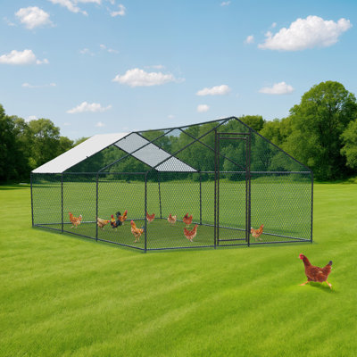 Emmeric Chicken Run