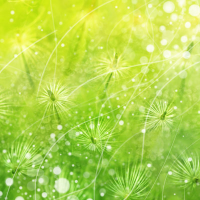 Spring Wind by XH4D - Wrapped Canvas Print
