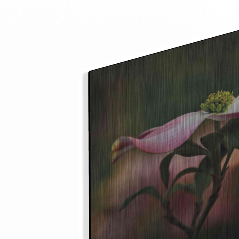 «Pink Dogwood I» par Debra Van Swearingen, H 12 po x l 12 po