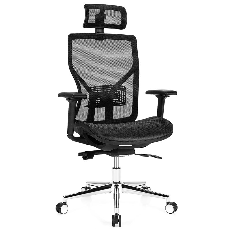 Crispn Mesh Task Chair with Headrest