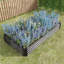 Jardinières en métal avec jardin surélevé-1233520571-1233520572