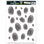Decals