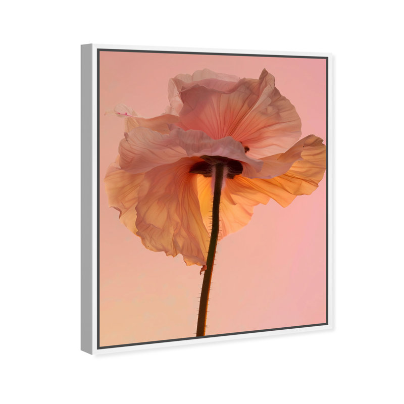 Amber Radiance IV Print by Oliver Gal, 17"H x 21"W, White Floater Frame