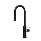 Eclissi™ Pull-Down Bar/Food Prep Kitchen Faucet with C-Spout and Handle