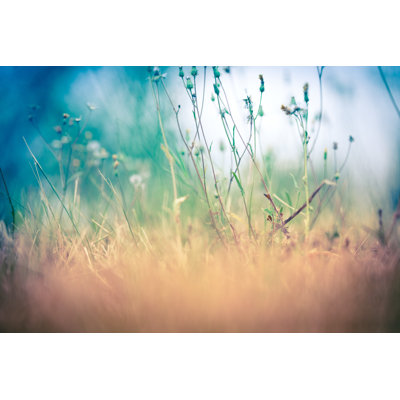 Herbe séchée par Jeja