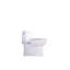 Toilette monobloc 1,28 GPF