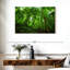 Jungle Alvord Basse-Terre-111839386