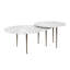 Alexia Marble Nesting Cocktail Table