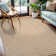 Soft Non-Slip Indoor Area Rug