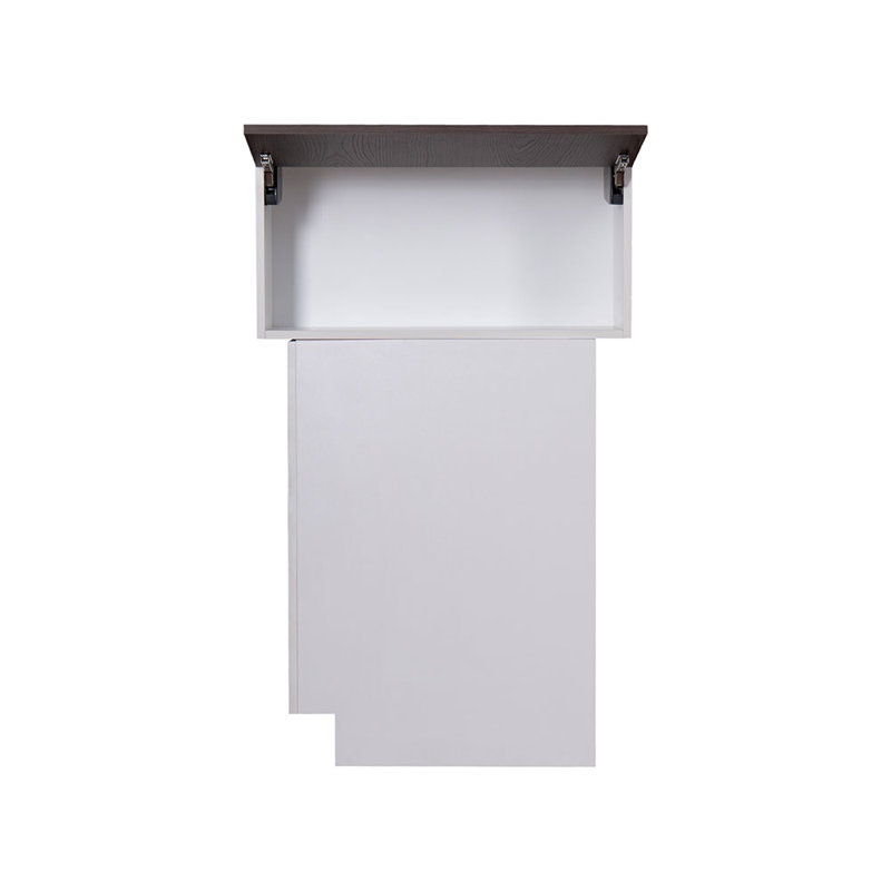 Armoire murale rabattable à une porte WFL3018