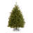 54' Lighted Fir Christmas Tree