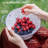 Prep & Savour Adame Steel Colander-658731309-618740908