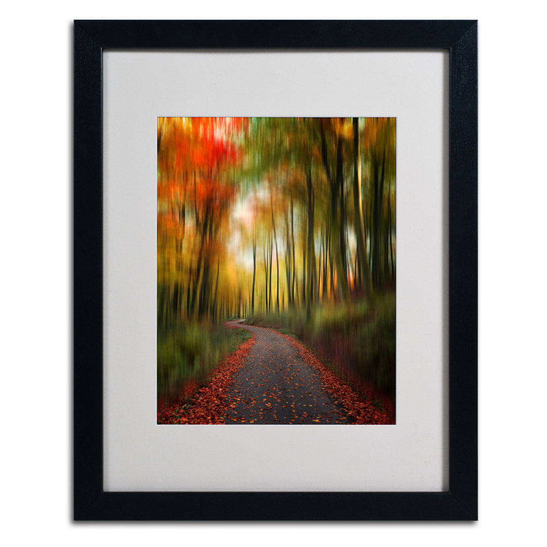 "The Lost Path" by Philippe Sainte-Laudy Framed Photographic Print Millwood Pines 
