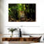 Belize Jungle Jaguar-107849459