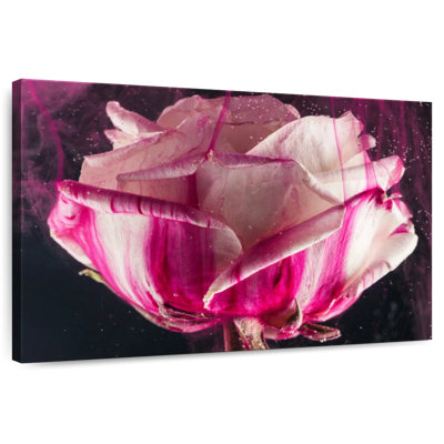 Harnek Modern Rose