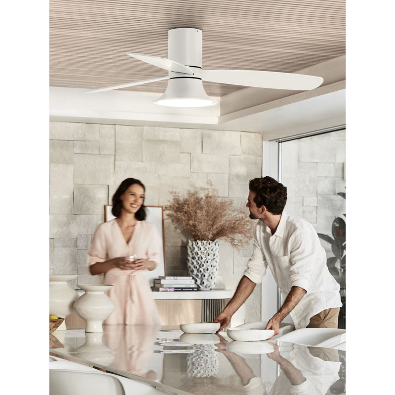 Haracha 132cm Ceiling Fan with Light Kit, White, White