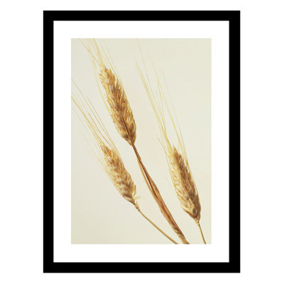 Wispy Wheat - Photographie avec cadre photo