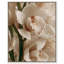 Water Droplets Print by Oliver Gal-795155215-795155220