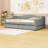 Upholstered Daybed with LED Belt and 2 Drawers