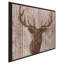 " Majestic Deer " by Tava Studios-64175926-64175931