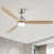 Brushed Nickel selected