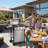 ENDARK 3-Burner Stainless Steel Gas Grills