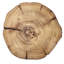 Woodland Placemat