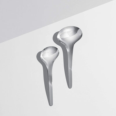 Elmae Stainless Steel Hostess Set
