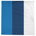 Detroit Basketball,Blue/Navy/White