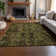 Premium Machine Washable Cerrito AMF570 Brown Rug