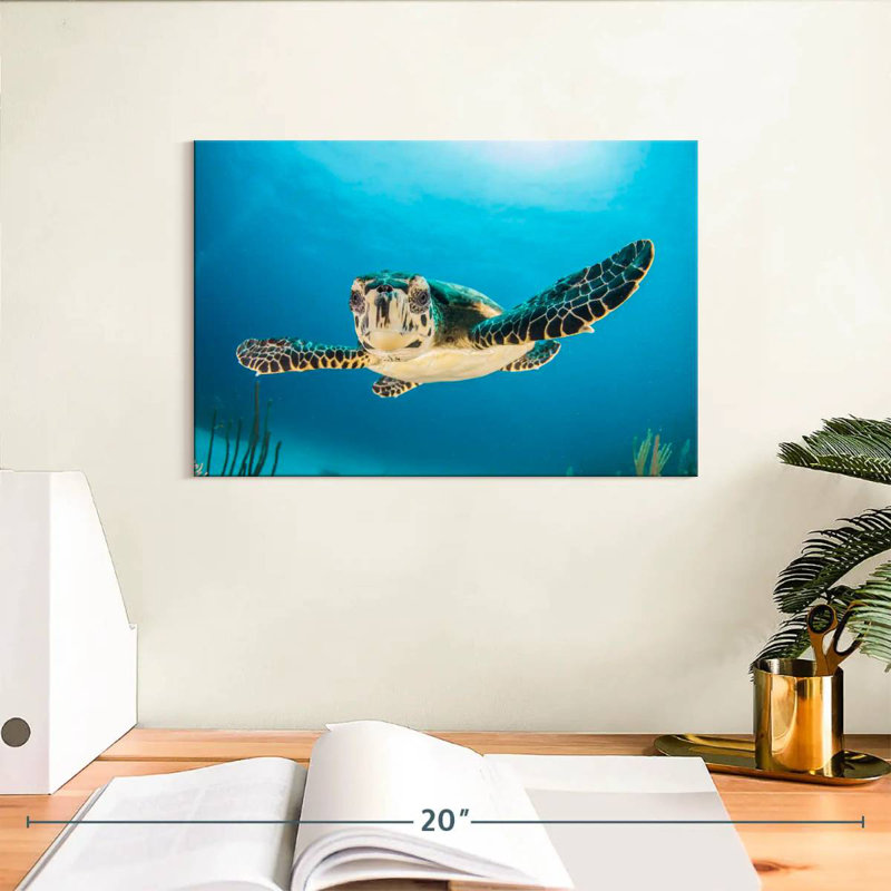 Brampt Underwater Baby Turtle, 8" H x 12" W