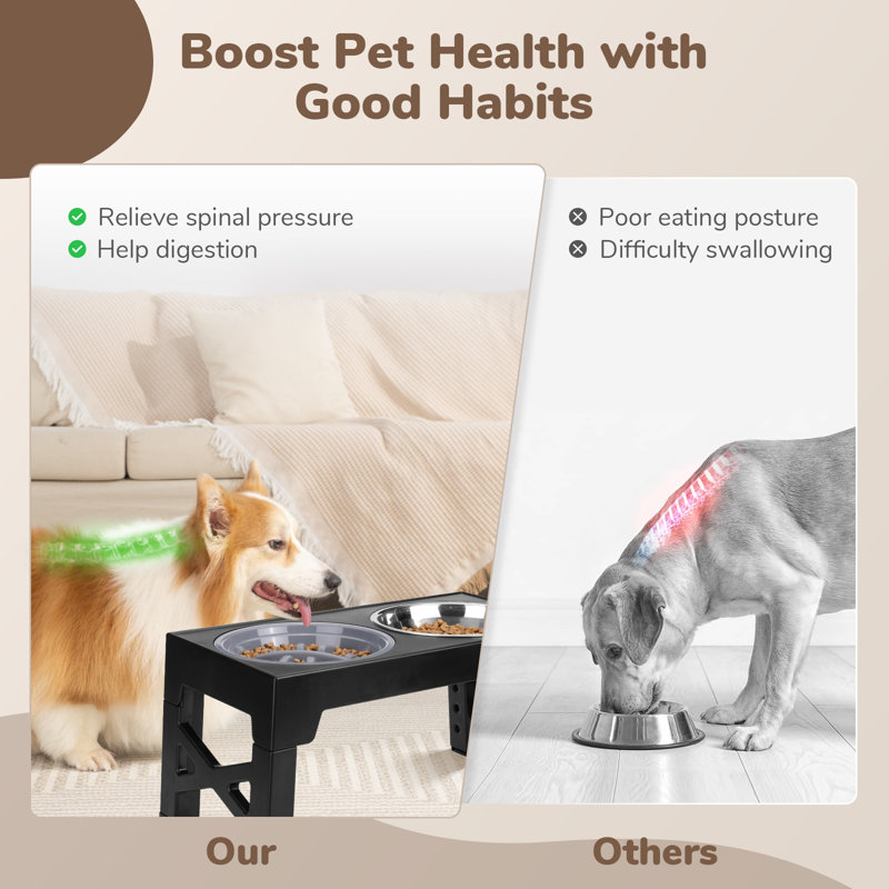 Bols pour chien surélevés, mangeoire pour chien avec 1 bols en acier inoxydable et 1 bols pour chien à alimentation lente, support pour bols pour chien surélevé réglable à 5 hauteurs