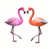 Pink/Orange