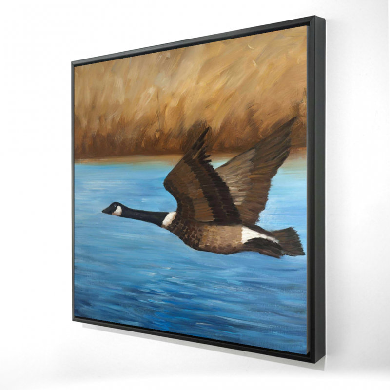 " Canada Goose "