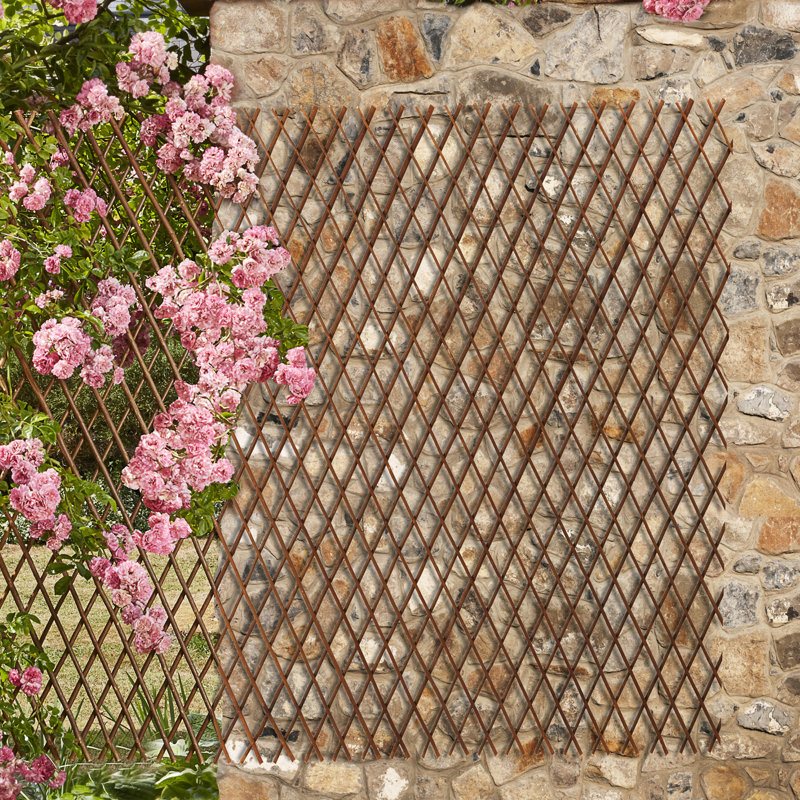 Cilla Wood Expanding Trellis - Twin Pack