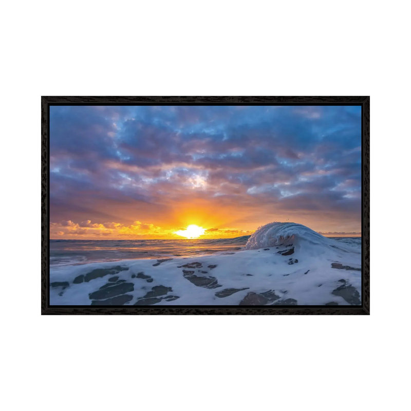 Dawn Curl by Sean Davey - Gallery-Wrapped Canvas Giclée on Canvas, 66.04 cm H x 45.72 cm W, Black Framed
