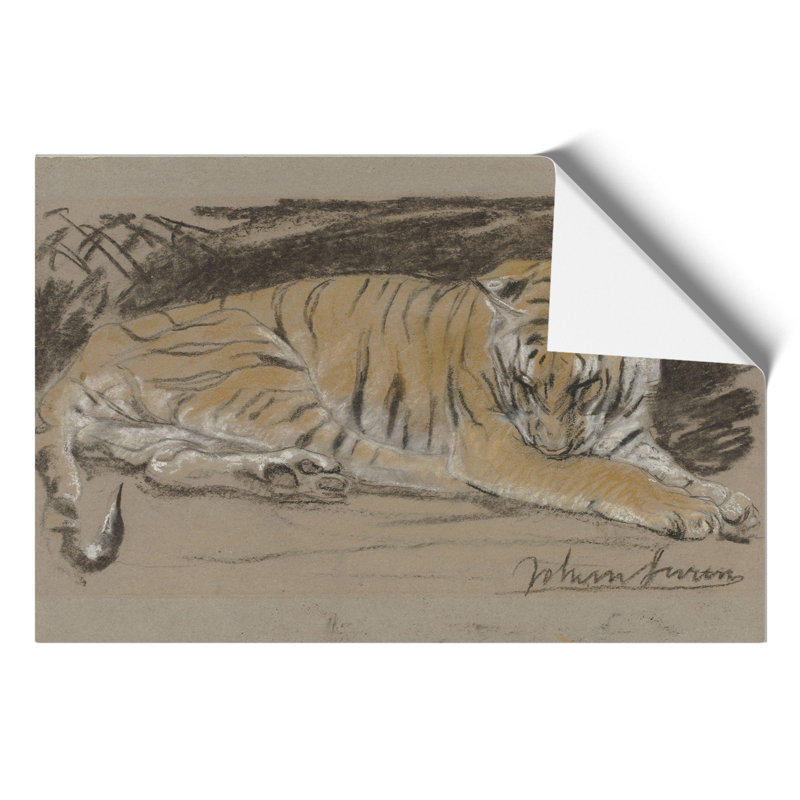 Study Of A Tiger Vol.1 by John Macallan Swan - Wall Art, 21cm H x 30cm W x 0.1cm D, No Frame Paper