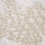 Jolene Opry Cream Fabric