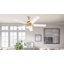 Ventilateur de plafond standard intelligent à 5 pales DEL avec télécommande, commande murale et ensemble d'éclairage inclus-87471884