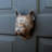 Boxer Door Knocker-22195362