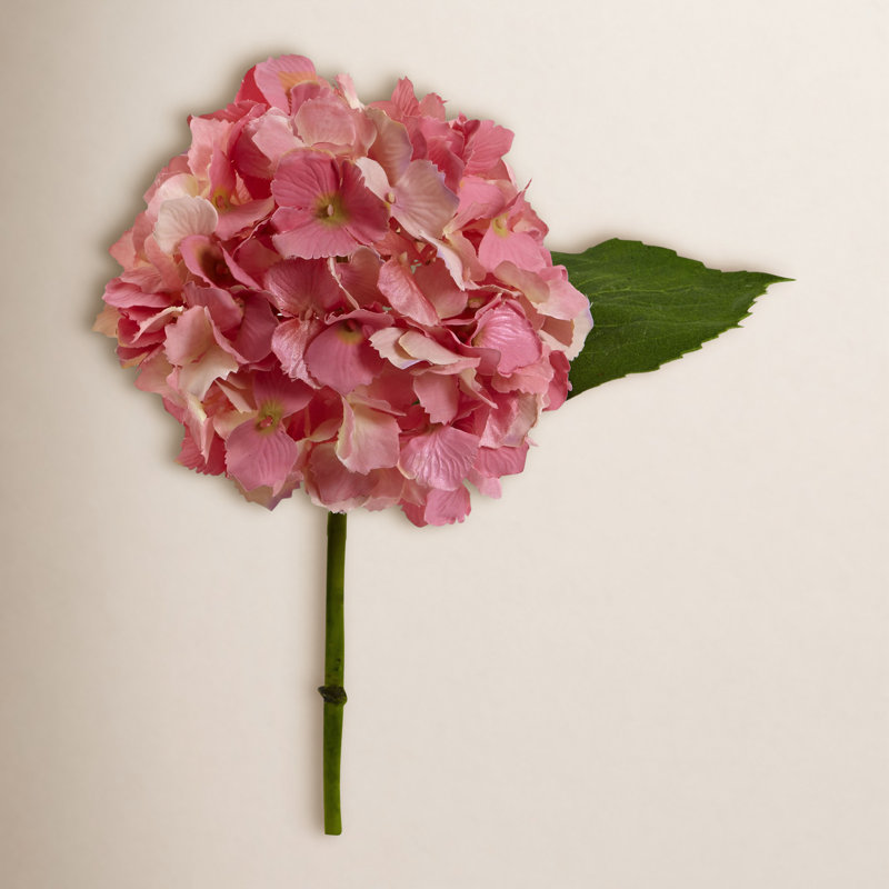 Hydrangea Arrangement, Pink