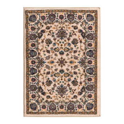Oriental Indoor Rug