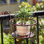 Plant Hanger