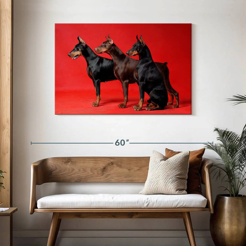 Doberman Trio, H 30 po x l 45 po