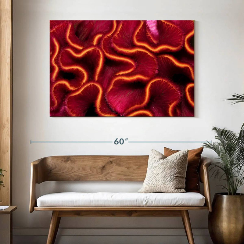 Corail rouge Brampt