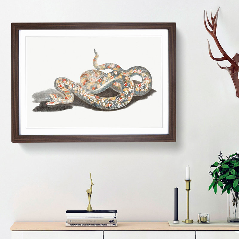 A Snake by Johan Teyler - Single Picture Frame Painting, Walnut Framed, 45cm H x 63cm W x 2cm D
