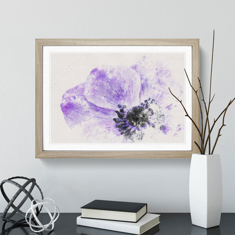 Purple Anemone Flower - Framed Print, 33cm H x 45cm W x 2cm D, Oak Framed
